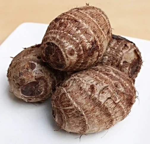 その他 tarou Taro — PANDA PRODUCE, INC.